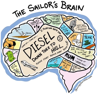 Sailor Brain